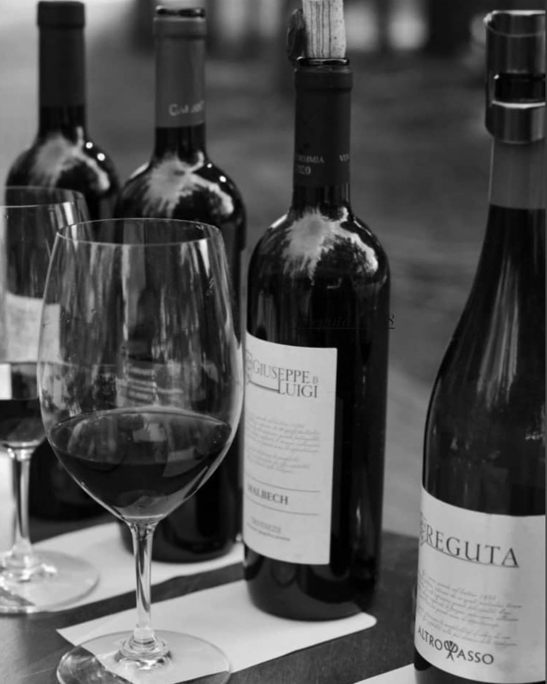 Esgotado! - Vinho Tinto Italiano Reguta Giuseppe e Luigi Malbech IGP