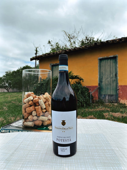 Vinho Tinto Italiano Bonotto delle Tezze Potestà Raboso del Piave DOC 2017